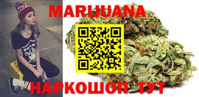 сатива Новодвинск