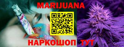 сатива Новодвинск