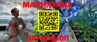 винт Новокубанск
