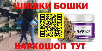 молекула духа Новозыбков
