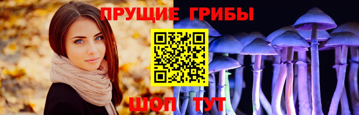 цена   Вход с VPN  Фурманов  Псилоцибиновые грибы Cubensis 
